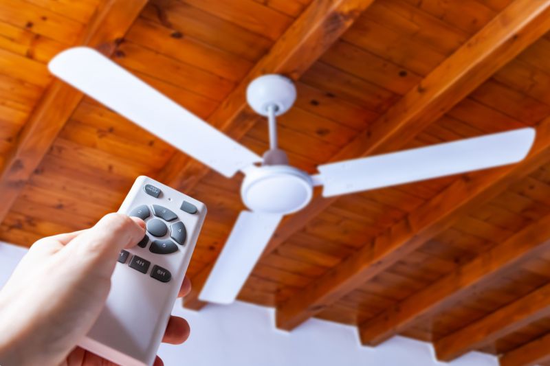 Smart Ceiling Fan