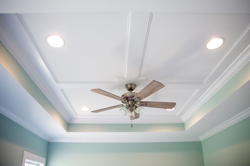 Ceiling Fan with Light